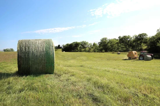 100% чистый HDPE, высококачественная круглая биоразлагаемая сетка для тюков, круглая пластиковая сетка для тюков сена 50 см